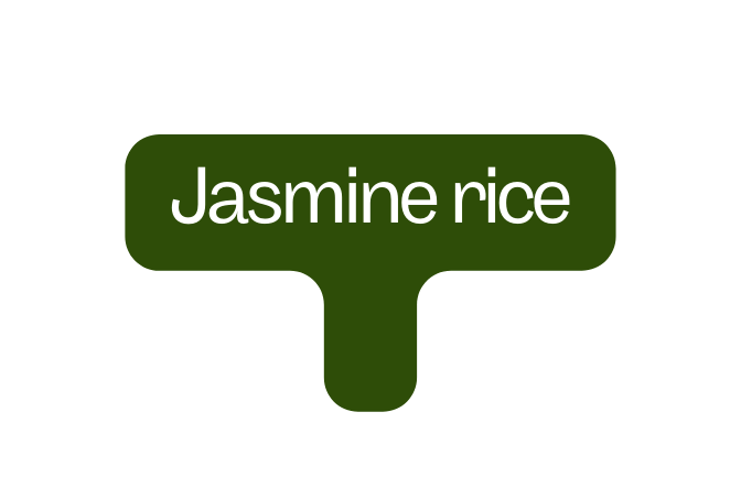 Jasmine rice