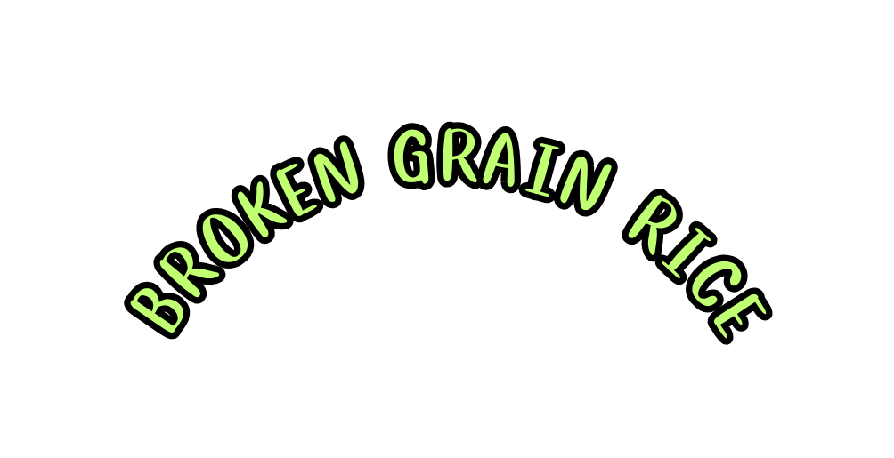 BROKEN GRAIN RICE