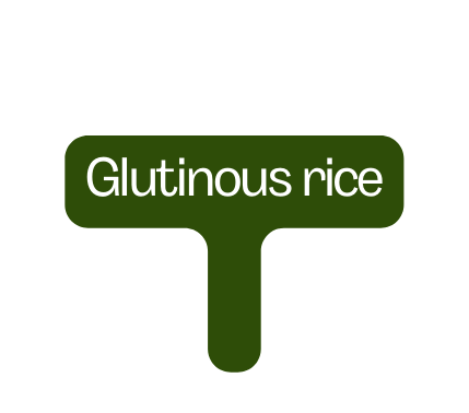 Glutinous rice