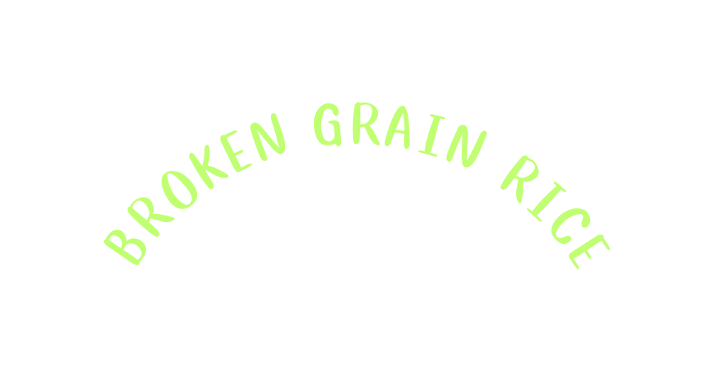 BROKEN GRAIN RICE